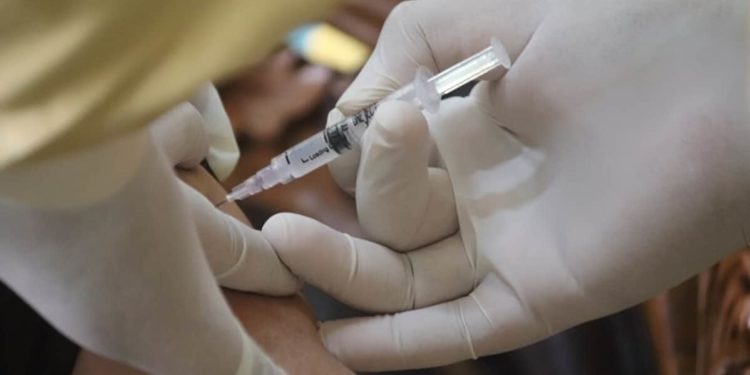 Imunizados pela Coronavac