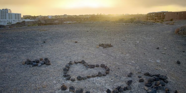Consórcios voltados ao meio ambiente