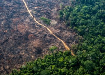 Desmatamento no Brasil
