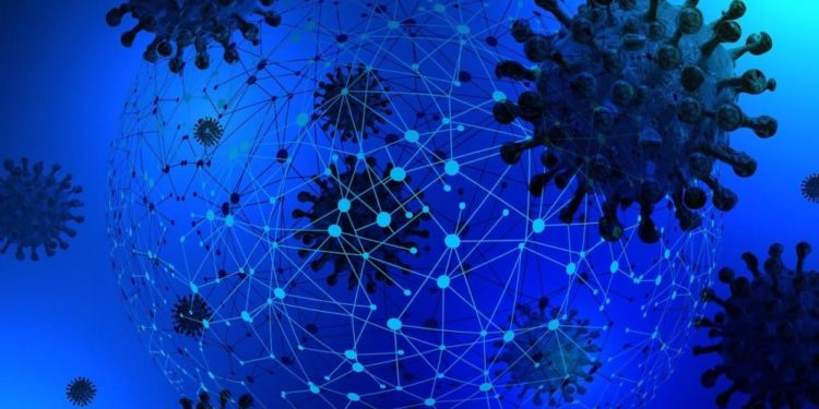 Variantes da Covid-19