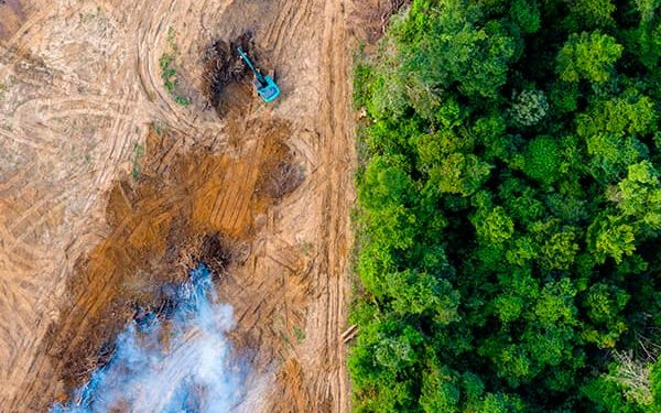 Índice de Desempenho Ambiental