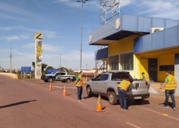 Campanha contra atropelamentos de animais