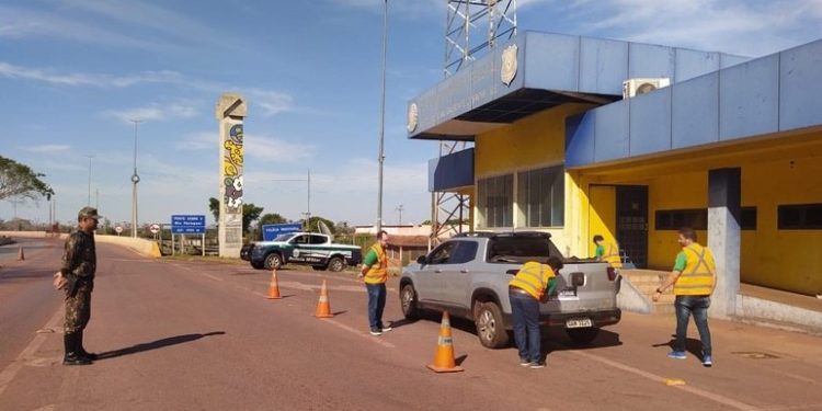 Campanha contra atropelamentos de animais