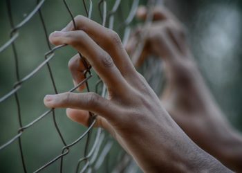 Política do confinamento