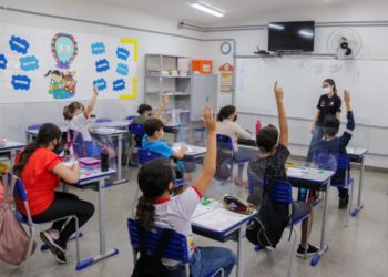 Professor X Política