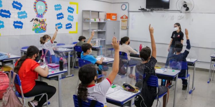 Professor X Política