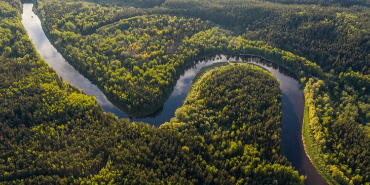 Brasileiras que estudam Amazônia