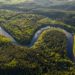 Brasileiras que estudam Amazônia