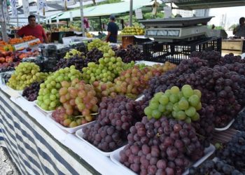 Consumo doméstico em janeiro