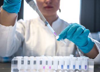 Formação de pesquisadores no exterior