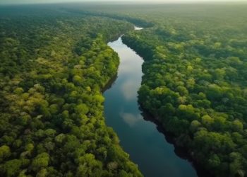 Amazônia Legal