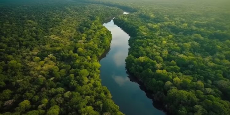 Amazônia Legal