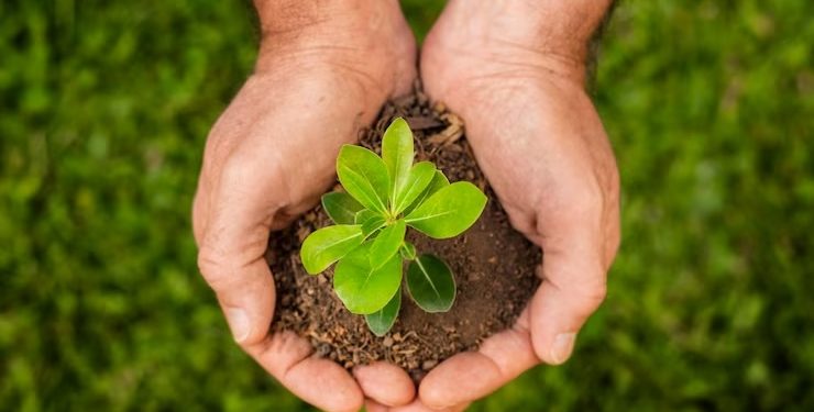 Fundo de Amparo ao Trabalhador terá de seguir normas ambientais