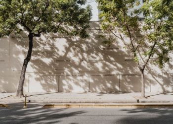 Arborização urbana: Meio Ambiente realiza pesquisa pública