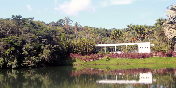 Jardim Sonoro proporciona uma linda experiência aos visitantes