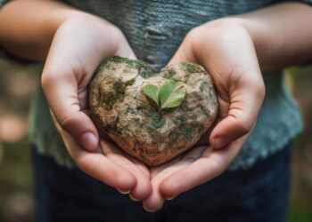 Preservação ambiental no Brasil