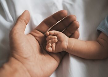 Direito a Ter Pai 2024