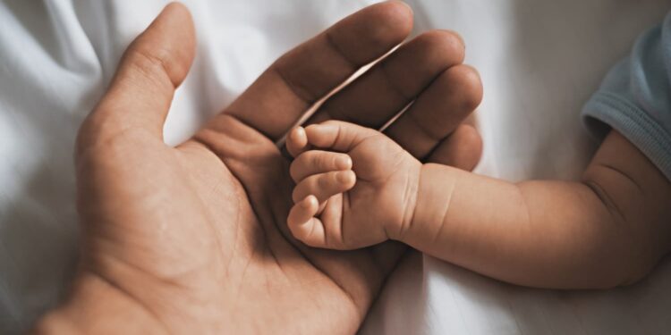 Direito a Ter Pai 2024