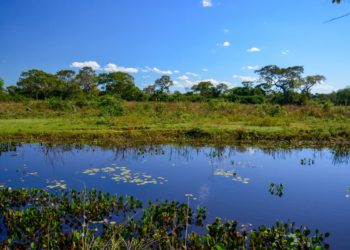 Compensação ambiental