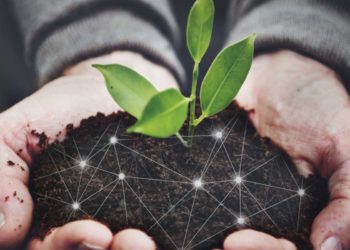 Fundo gerido por empresa de Alberto Guth faz aporte em agtech