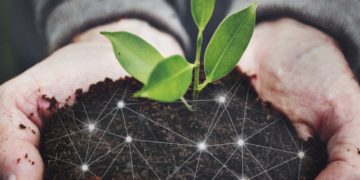 Fundo gerido por empresa de Alberto Guth faz aporte em agtech