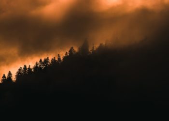 desmatamentos e queimadas saúde respiratória