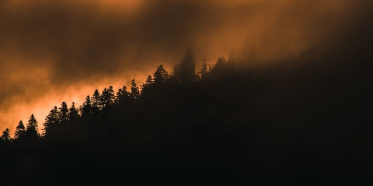 desmatamentos e queimadas saúde respiratória