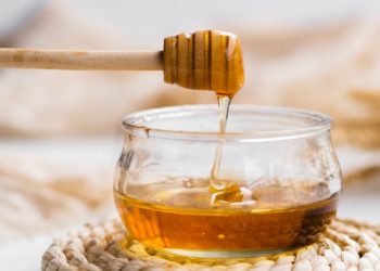 Do setor industrial ao campo, apicultor consolida produção sustentável de mel no Vale do Jequitinhonha