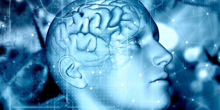 Estudo com participação da UFRGS associa inflamação cerebral à progressão do Alzheimer