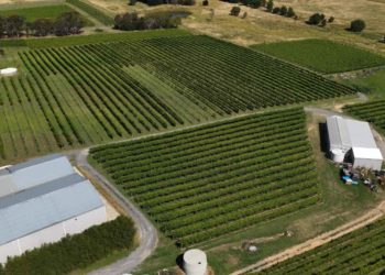 China amplia produção agrícola, mas mantém dependência de importações
