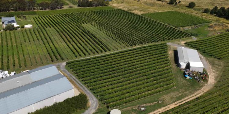 China amplia produção agrícola, mas mantém dependência de importações