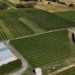 China amplia produção agrícola, mas mantém dependência de importações